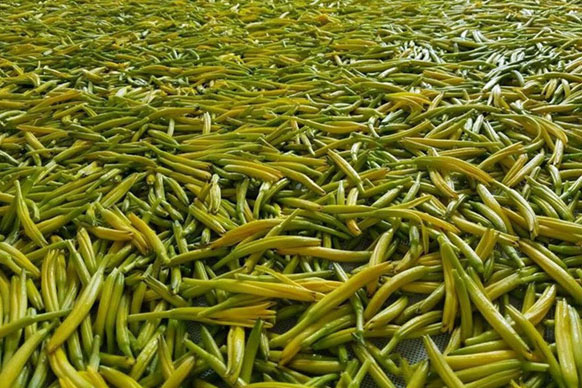 無(wú)硫金針菜烘干如何保持品相？不發(fā)黑？