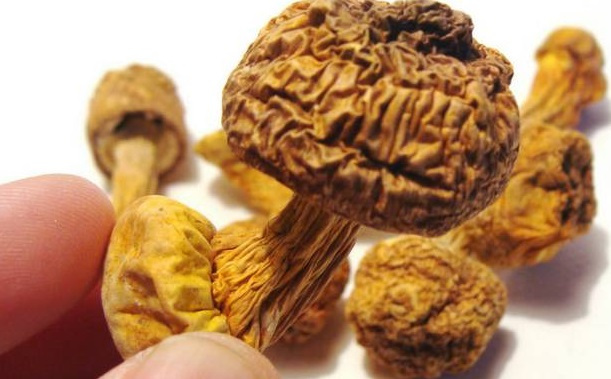 巴西菇、姬松茸烘干機(jī)-怎樣烘干色澤好且菇體褶片完整？