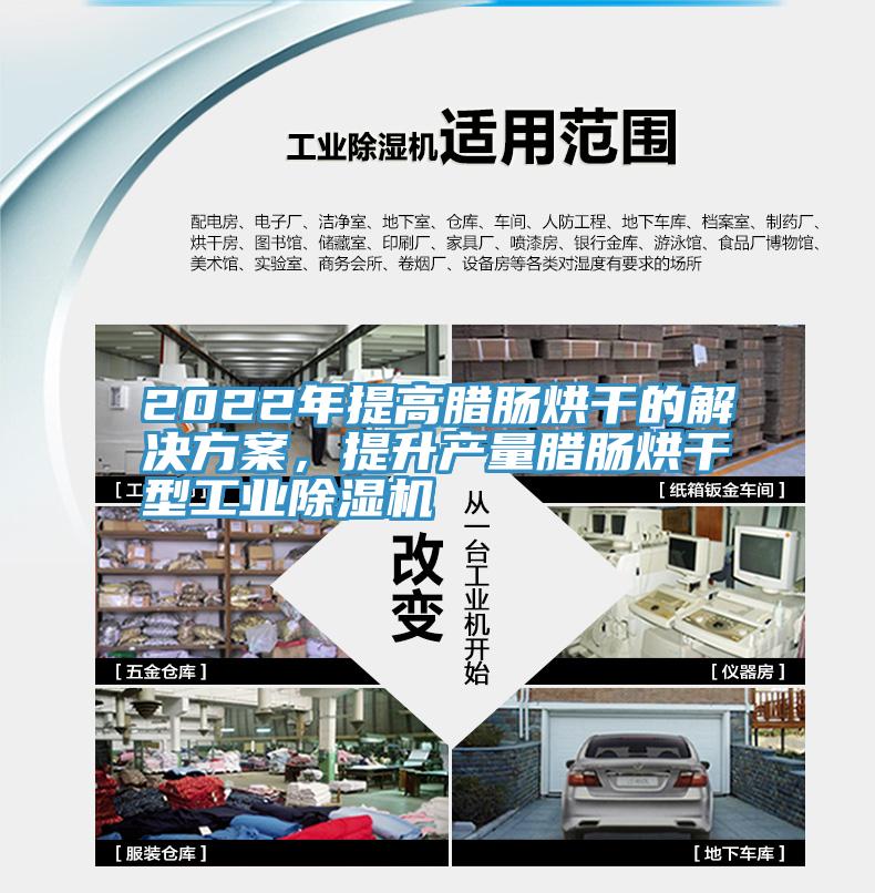 2022年提高臘腸烘干的解決方案，提升產(chǎn)量臘腸烘干型工業(yè)除濕機(jī)