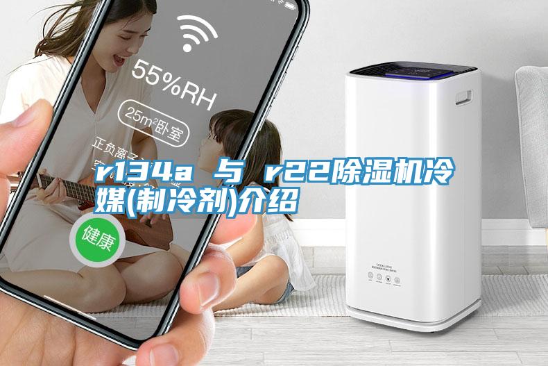 r134a 與 r22除濕機(jī)冷媒(制冷劑)介紹
