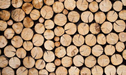 木材烘干除濕機哪個牌子好，怎么選擇