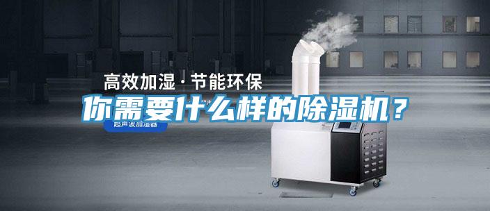 你需要什么樣的除濕機(jī)？