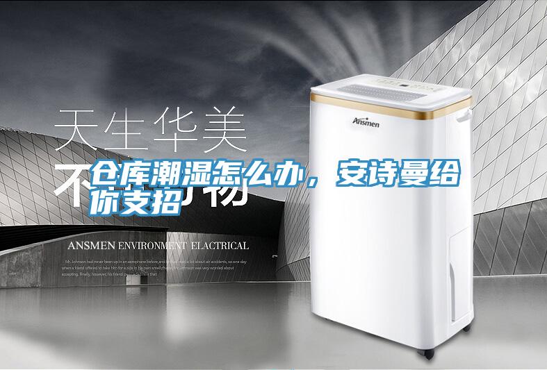 倉庫潮濕怎么辦，安詩曼給你支招