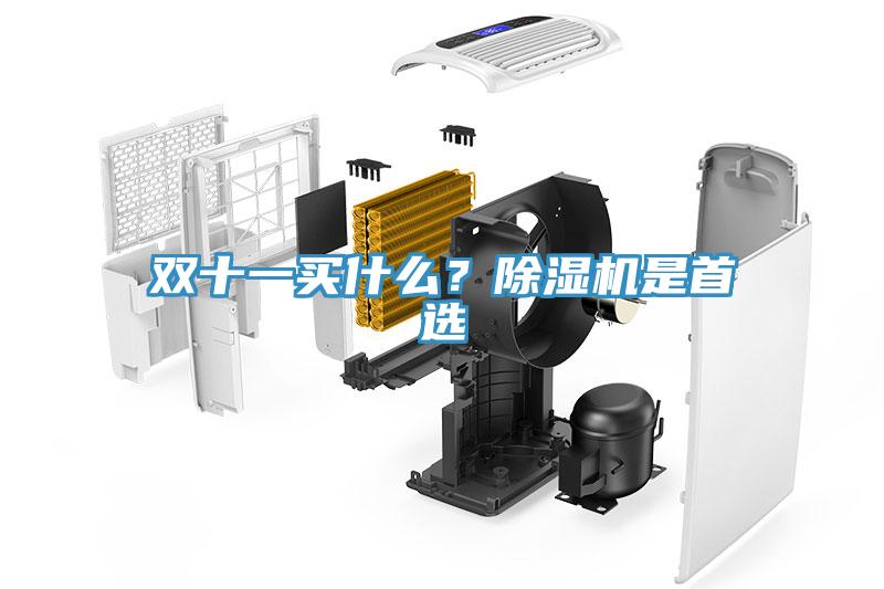 雙十一買什么？除濕機(jī)是首選