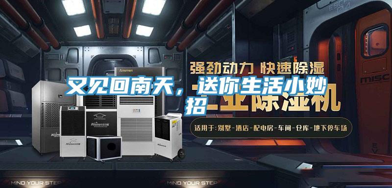 又見回南天，送你生活小妙招