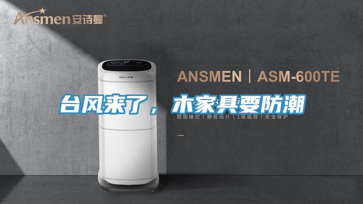 臺風來了，木家具要防潮