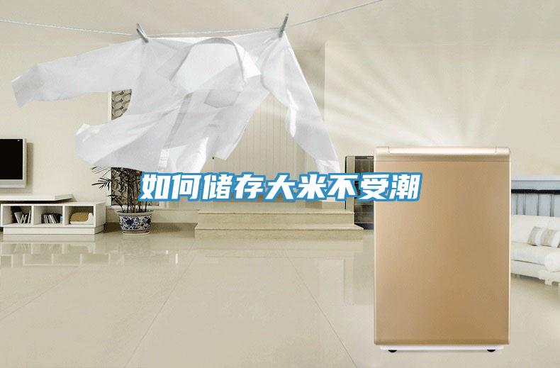 如何儲(chǔ)存大米不受潮
