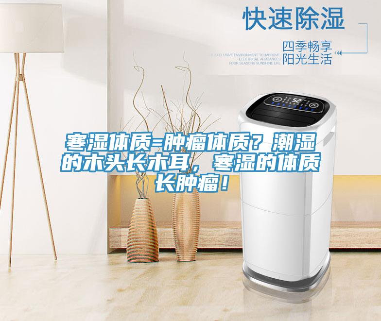 寒濕體質(zhì)=腫瘤體質(zhì)？潮濕的木頭長木耳，寒濕的體質(zhì)長腫瘤！