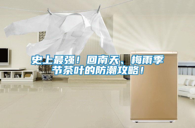 史上最強(qiáng)！回南天、梅雨季節(jié)茶葉的防潮攻略！