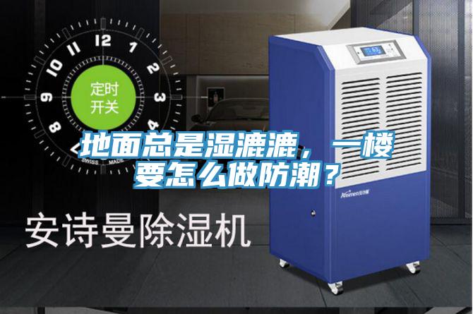 地面總是濕漉漉，一樓要怎么做防潮？