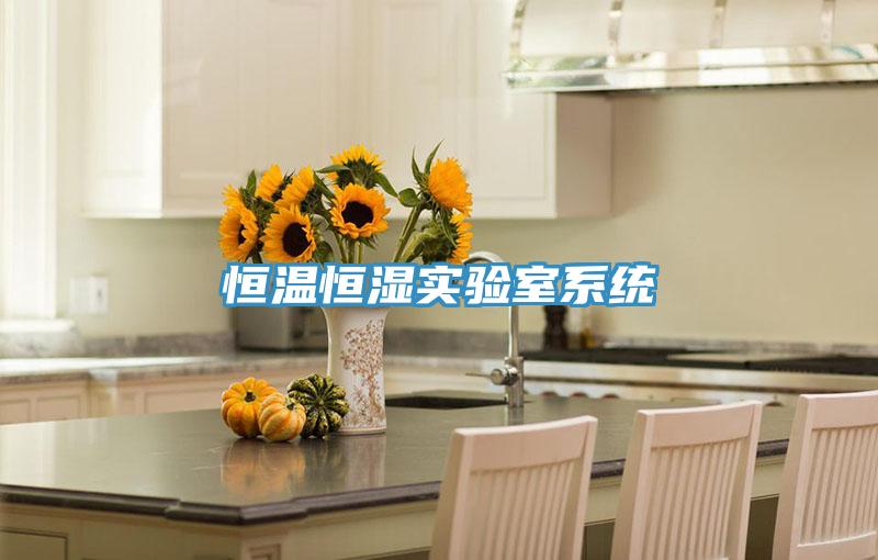 恒溫恒濕實(shí)驗(yàn)室系統(tǒng)
