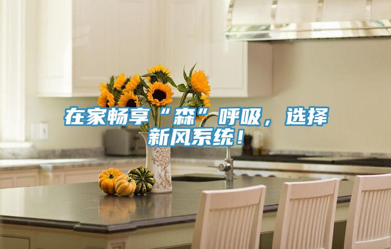 在家暢享“森”呼吸，選擇新風(fēng)系統(tǒng)！