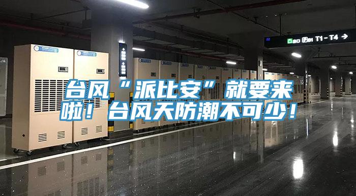 臺風“派比安”就要來啦！臺風天防潮不可少！