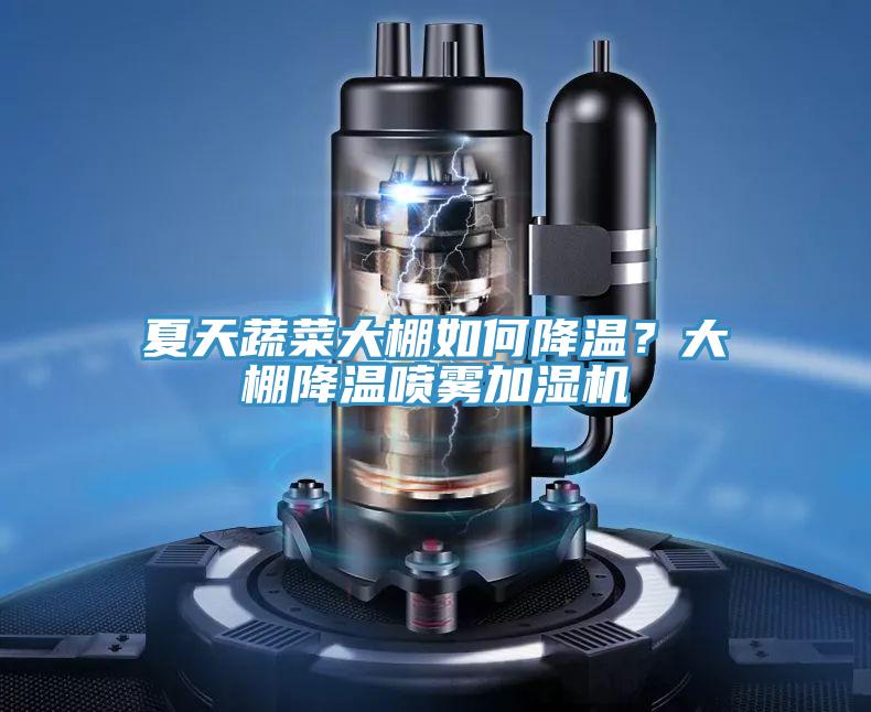 夏天蔬菜大棚如何降溫？大棚降溫噴霧加濕機(jī)