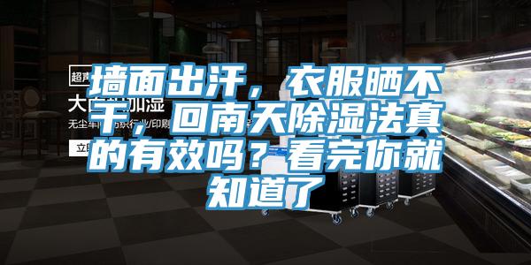 墻面出汗，衣服曬不干，回南天除濕法真的有效嗎？看完你就知道了