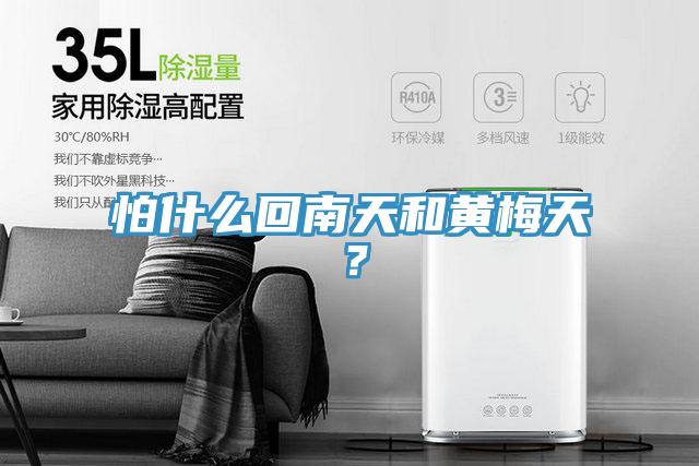 怕什么回南天和黃梅天？