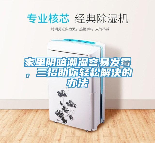 家里陰暗潮濕容易發(fā)霉，三招助你輕松解決的辦法