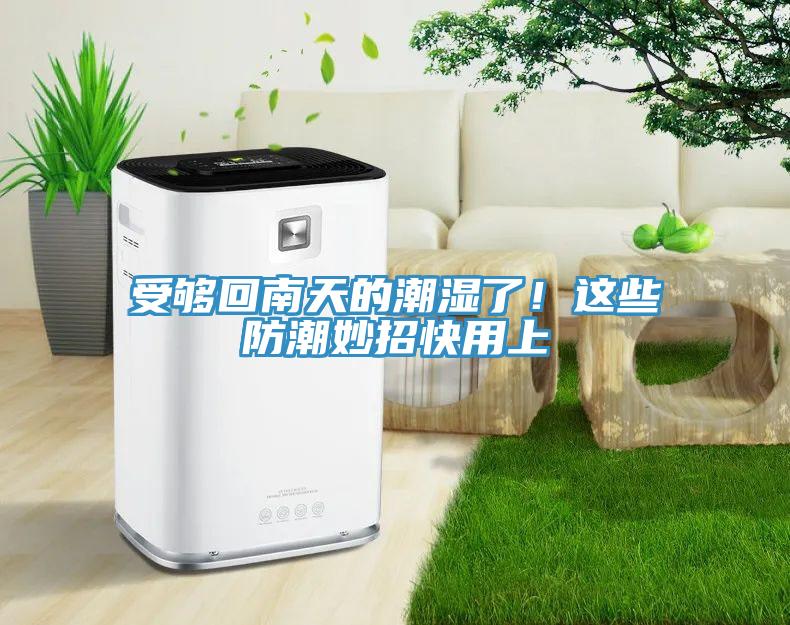 受夠回南天的潮濕了！這些防潮妙招快用上