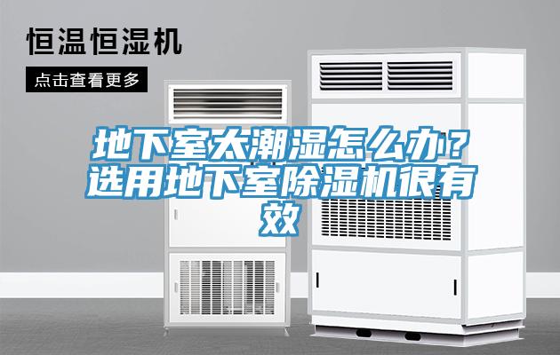 地下室太潮濕怎么辦？選用地下室除濕機(jī)很有效