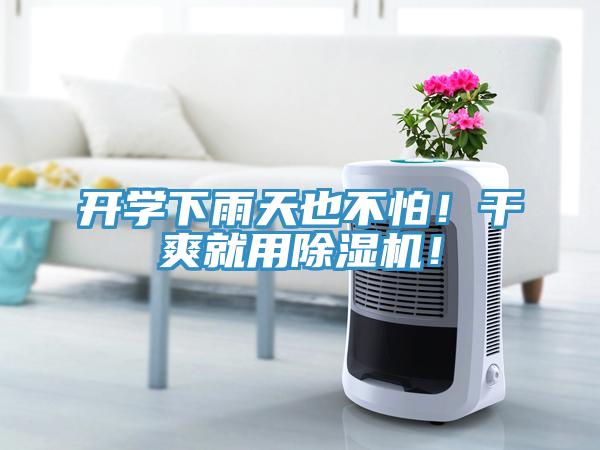 開學(xué)下雨天也不怕！干爽就用除濕機(jī)！
