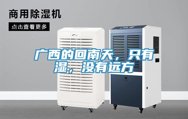 廣西的回南天，只有濕，沒有遠方