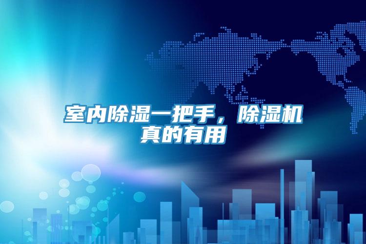 室內(nèi)除濕一把手，除濕機(jī)真的有用