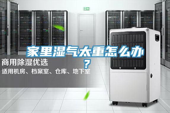 家里濕氣太重怎么辦？