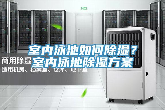 室內泳池如何除濕？室內泳池除濕方案