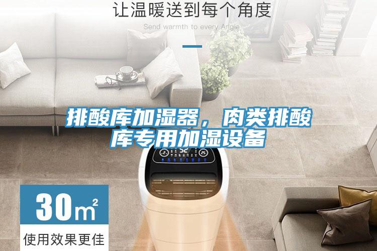 排酸庫(kù)加濕器，肉類(lèi)排酸庫(kù)專(zhuān)用加濕設(shè)備