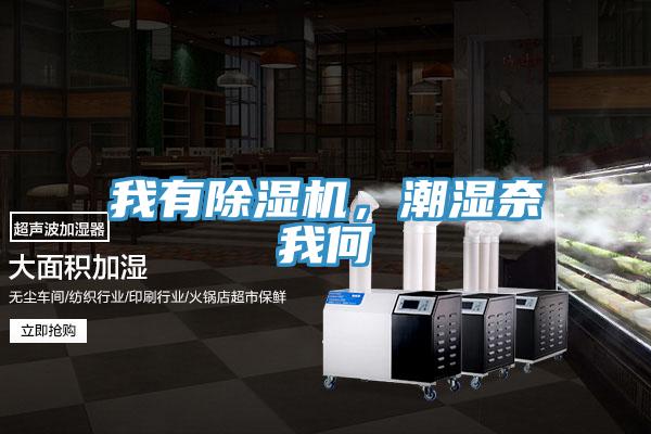 我有除濕機(jī)，潮濕奈我何