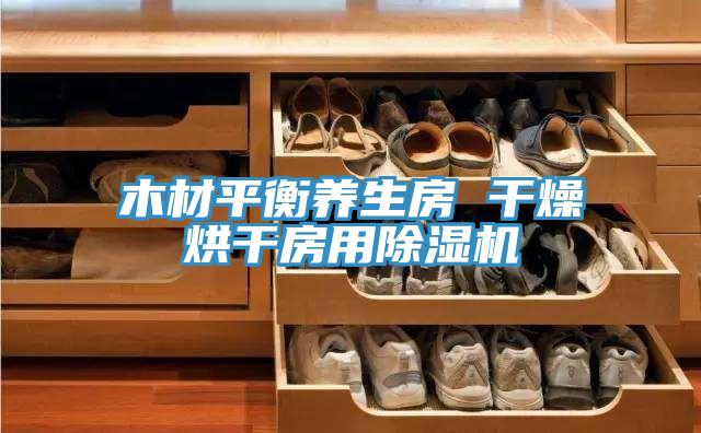 木材平衡養(yǎng)生房 干燥烘干房用除濕機(jī)