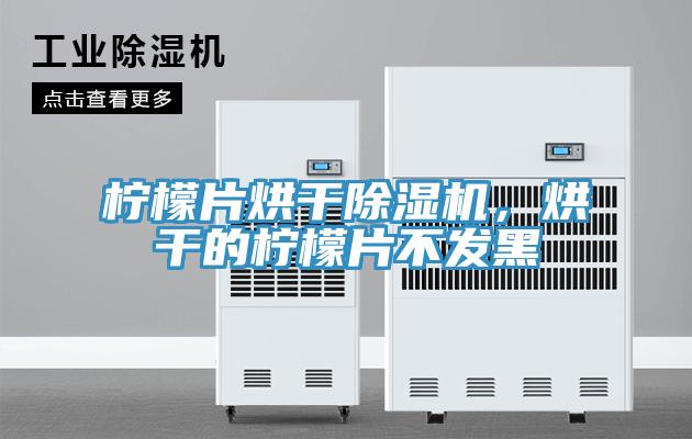 檸檬片烘干除濕機(jī)，烘干的檸檬片不發(fā)黑