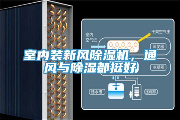 室內(nèi)裝新風(fēng)除濕機(jī)，通風(fēng)與除濕都挺好