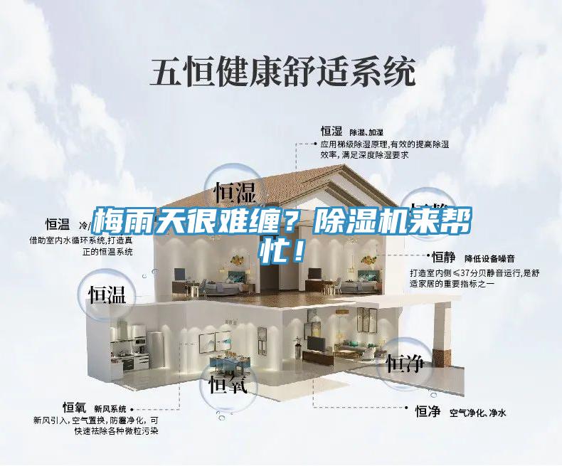 梅雨天很難纏？除濕機(jī)來(lái)幫忙！