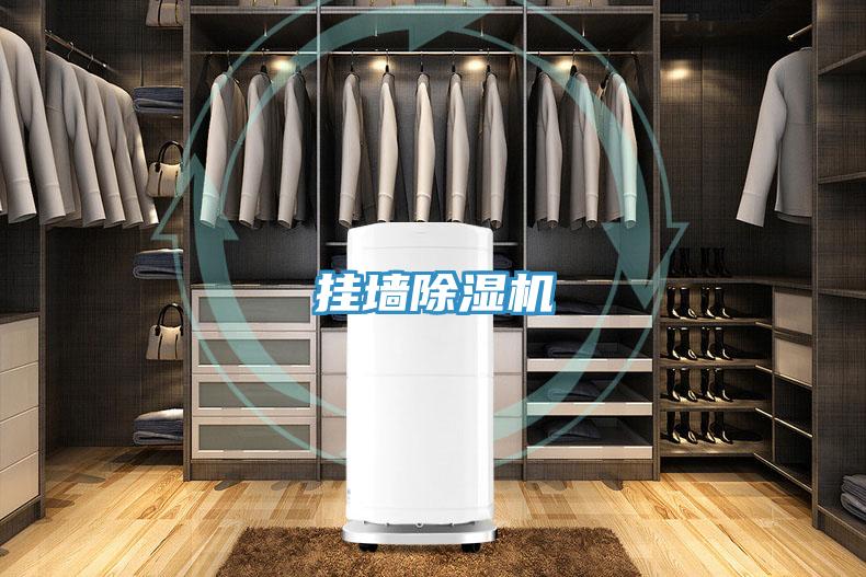 掛墻除濕機