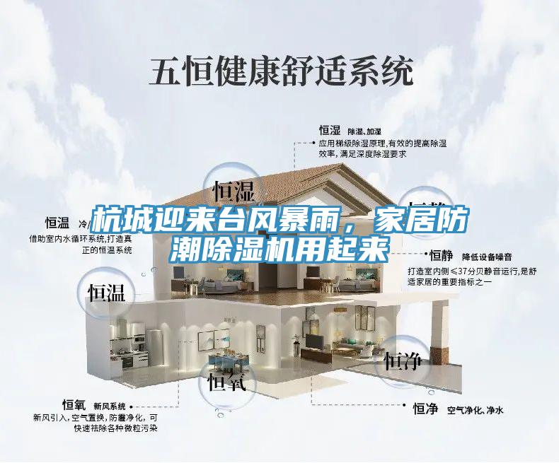 杭城迎來(lái)臺(tái)風(fēng)暴雨，家居防潮除濕機(jī)用起來(lái)