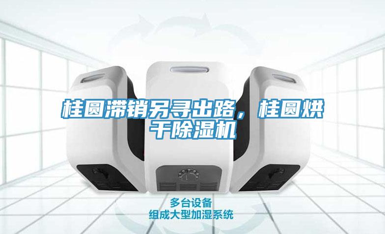 桂圓滯銷另尋出路，桂圓烘干除濕機(jī)