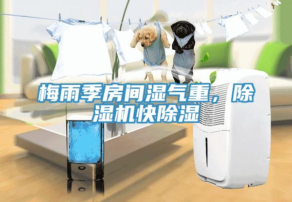 梅雨季房間濕氣重，除濕機快除濕