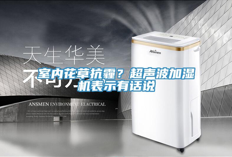 室內(nèi)花草抗霾？超聲波加濕機(jī)表示有話說