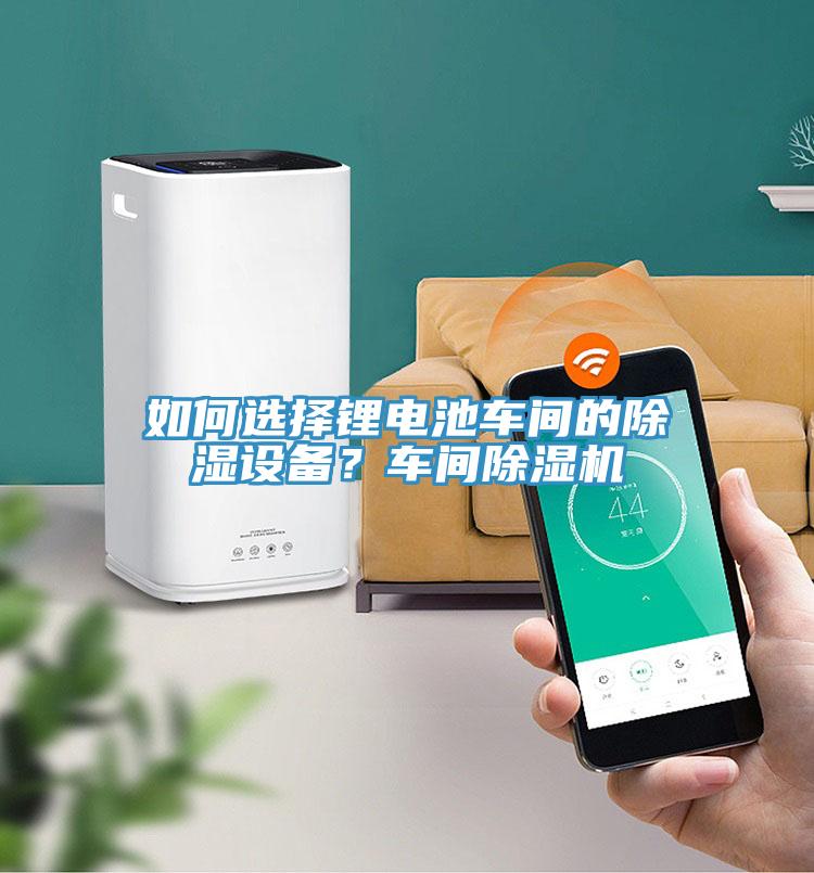 如何選擇鋰電池車間的除濕設(shè)備？車間除濕機(jī)
