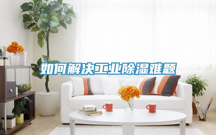 如何解決工業(yè)除濕難題