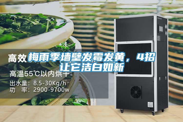 梅雨季墻壁發(fā)霉發(fā)黃，4招讓它潔白如新