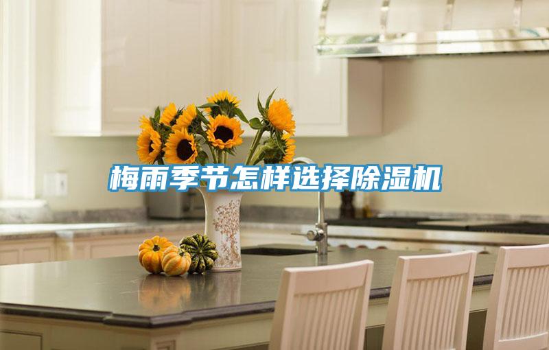 梅雨季節(jié)怎樣選擇除濕機(jī)