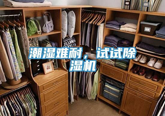 潮濕難耐，試試除濕機(jī)