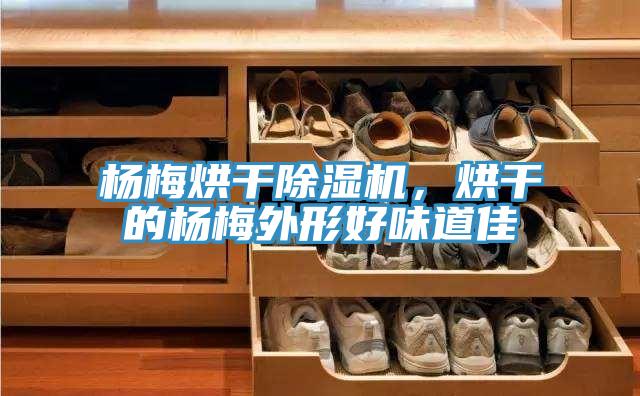 楊梅烘干除濕機(jī)，烘干的楊梅外形好味道佳