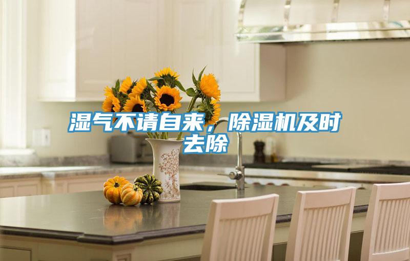 濕氣不請自來，除濕機及時去除