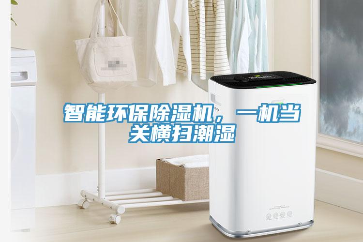 智能環(huán)保除濕機(jī)，一機(jī)當(dāng)關(guān)橫掃潮濕