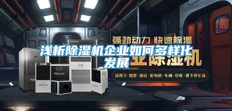 淺析除濕機(jī)企業(yè)如何多樣化發(fā)展