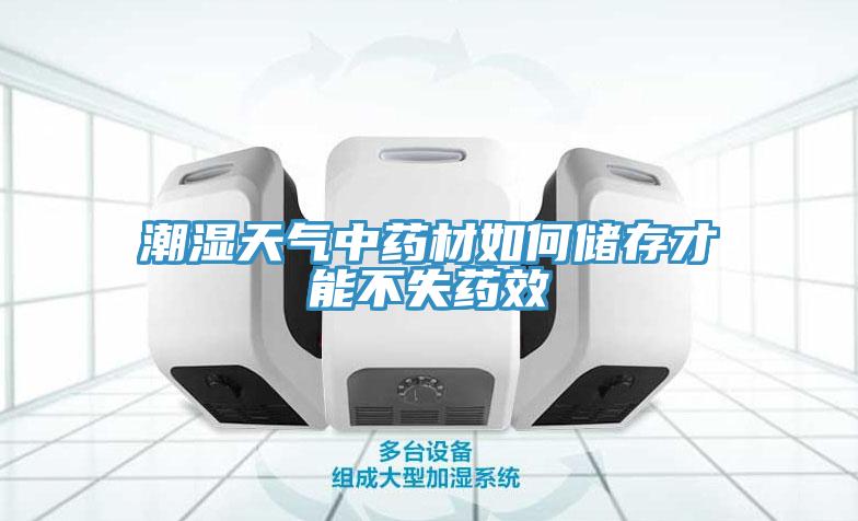 潮濕天氣中藥材如何儲(chǔ)存才能不失藥效