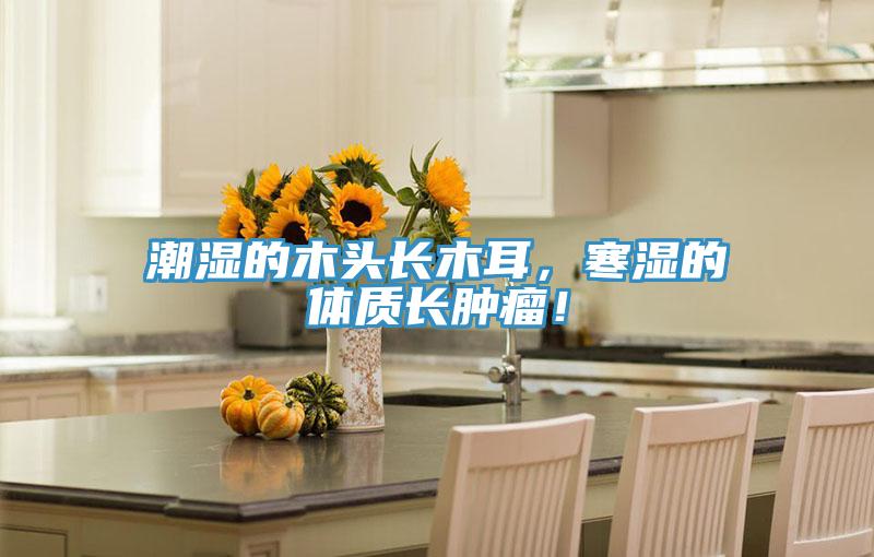 潮濕的木頭長(zhǎng)木耳，寒濕的體質(zhì)長(zhǎng)腫瘤！